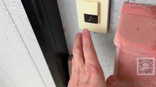 489155.com@FC2PPV-4904760-1