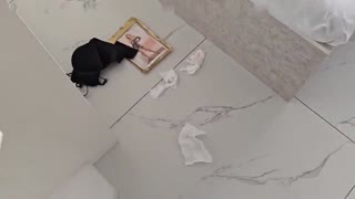 【全家淫荡乱伦】爸爸操不喷老妈让我操，年轻小伙子火气就是大，干的老妈嗷嗷叫！